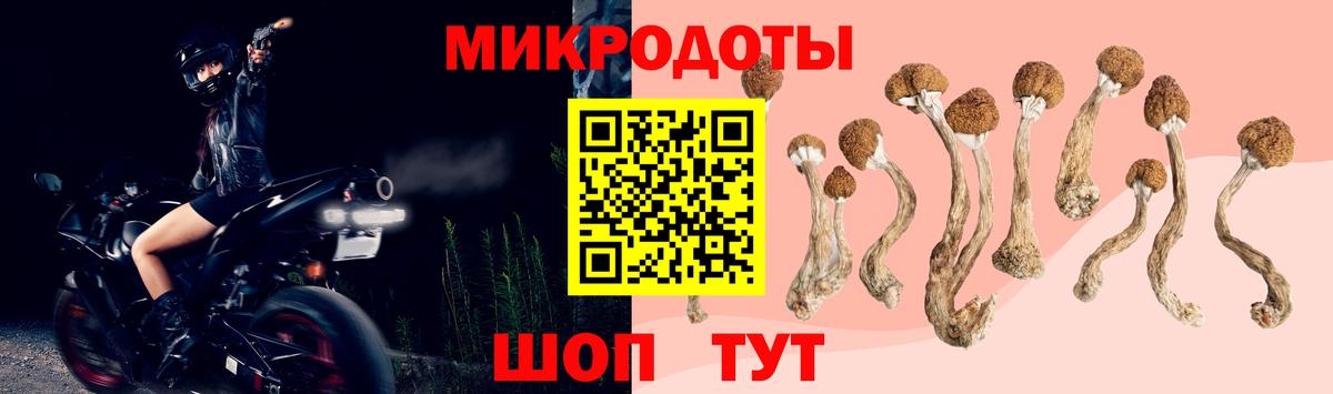 Галлюциногенные грибы Psilocybe  Галлюциногенные грибы Psilocybe  наркотики  Дзержинский  Вход с VPN 